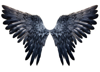 Black angel wings isolated on a transparent background