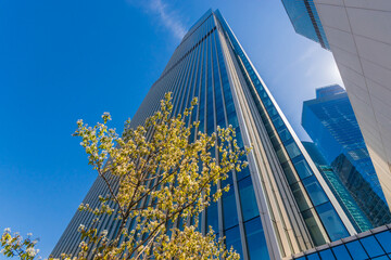 A contemporary glass-clad skyscraper reaches into the clear blue sky, with budding spring trees in...