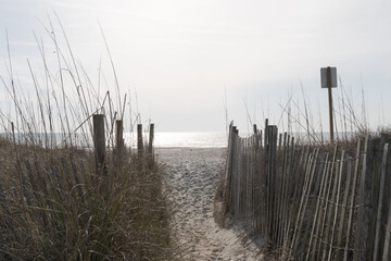 Narrow pathway through erosion fence to a deserted open beach, endless possibilities ahead in the...