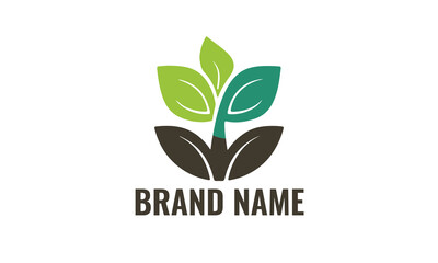 Green eco tree Logo Template