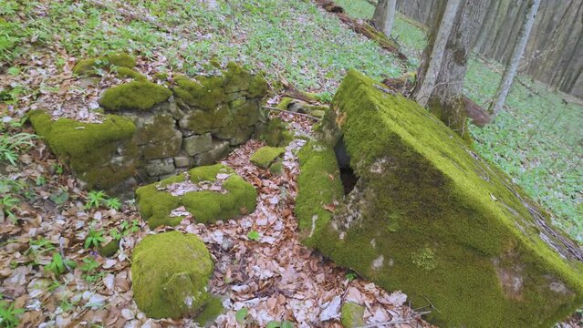 Historical concrete single soldier bunker of the Arpad line covered with green moss in Carpathian forest. Abandoned military fortification from World War II, defensive pillbox in Ukraine.
