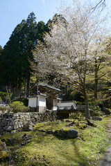 浄蓮華院　山門　京都市左京区大原