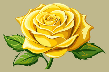 Yellow rose vector 