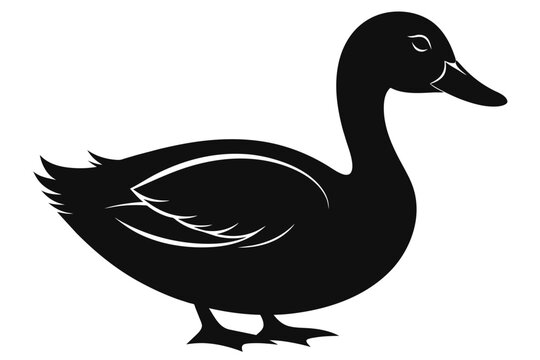 Duck black silhouette vector illustration