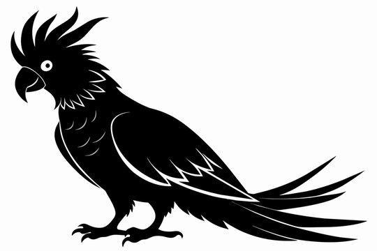 Cockatoo silhouette vector illustration