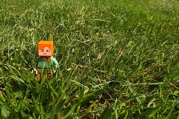 Obraz premium LEGO Minecraft figure of Alex walking across freshly cultivated an mowned garden lawn, spring daylight sunshine. 