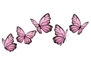 five butterfly
