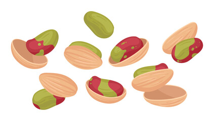 Pistachio nuts. Delicious tasty pistachios nuts snack, cartoon raw nuts in shell flat vector illustration set. Crunchy pistachio nuts on white