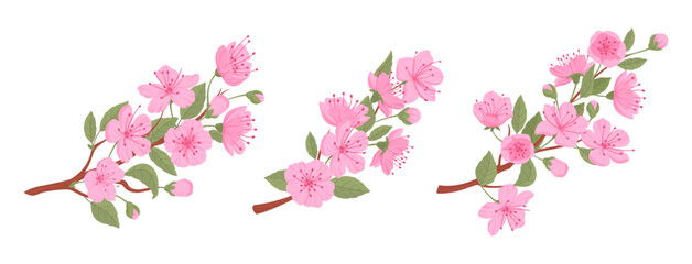 Spring japanese cherry branches. Blooming sakura tree, pink sakura flowers and buds flat vector illustration set. Asian blooming branch collection