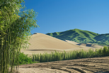 a landscape photograph depicting a beige dune begind a bamboo forest