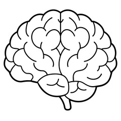 human brain vector illustration