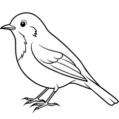 bird on a branch Line art coloring book page for children's vector art illustration
