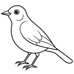 robin bird on a branch line art coloring book page for kid's vector art illustration
