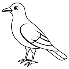 bird line art coloring book page for kid's vector art illustration
