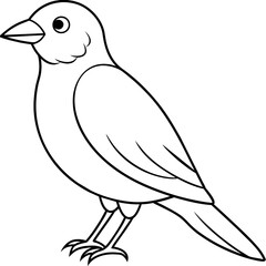 Obraz premium bird on a branch line art coloring book page for kid's vector art illustration 