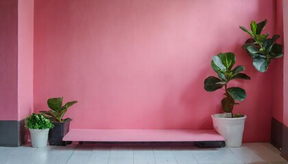 Pink wall to display product. background for photo studio.