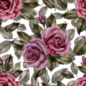 Seamless floral pattern of pink roses as watercolor illustration in vintage style for textile