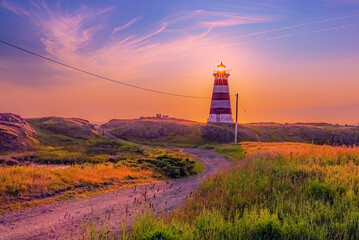 Brier Island Sunlight