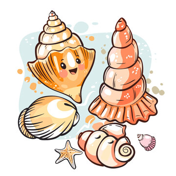 Cute cartoon seashells. Vector illustration on white background.