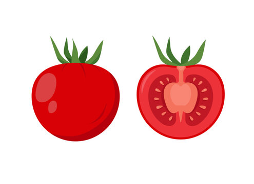 Red fresh tomato vegetable. Whole and half of tomato plant icon. Organic vegetables vegetarian food. Vector illustration isolated on white background.