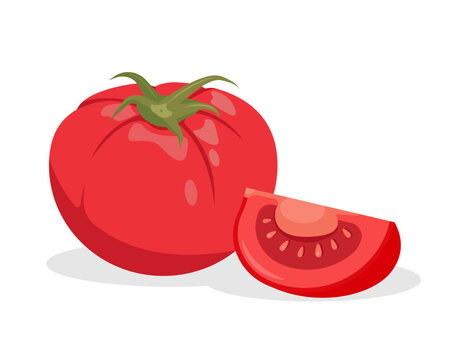 Fresh whole Tomato and piece of tomato. Farm tomatoes plant icon. Organic vegetables vegetarian food. Vector illustration isolated on white background.