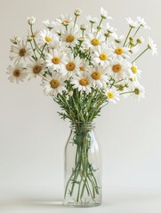 Simple yet elegant white daisies in vase