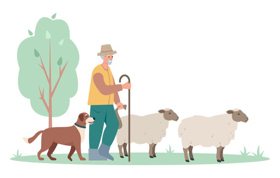 Shepherd man with dog herding sheep. Male character farmer taking care of sheep isolated on white background. Farming concept Vector illustration.