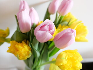 bouquet of tulips, spring flowers 