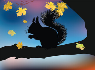 squirrel on tree branch under fall leaves - 784753912