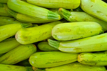 fresh zucchini vegetable - abobrinha - squash - courgette stock photo