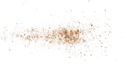 Black ground pepper isolated on white, clipping path