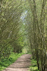 One day in Queens Hill