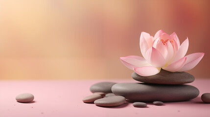 Fototapeta na wymiar stones and lotus flower on pink background witn copy space, wellness and massage, bodycare, spa and harmony 