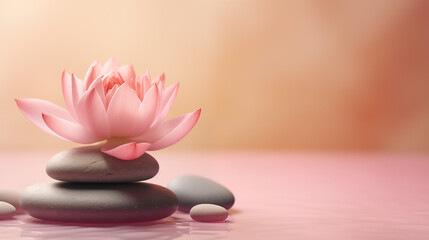 Obraz na płótnie Canvas stones and lotus flower on pink background witn copy space, wellness and massage, bodycare, spa and harmony 
