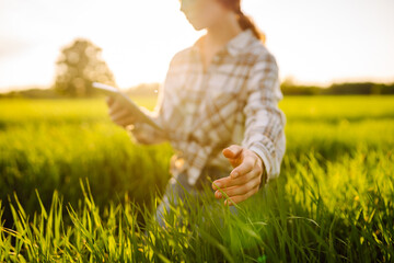 Smart farm. Woman Farmer with tablet in green field. Agriculture, gardening, business or ecology concept. - obrazy, fototapety, plakaty