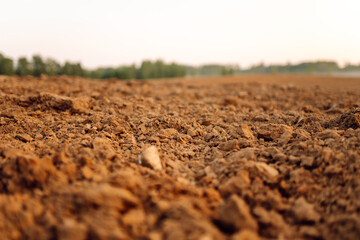 Clean soil for growing. Soil before sowing. Agriculture farm. 