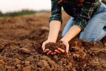Female hands touching soil on the field. Agriculture, gardening, business or ecology concept.
