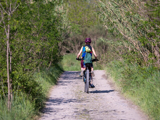 Healthy lifestyle - people riding bicycles in city park
