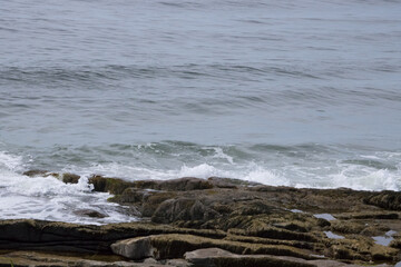 Ocean waves meeting a rocky shore