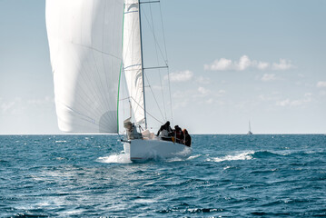Sailing team competing in regatta - obrazy, fototapety, plakaty