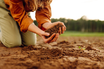 Black soil in the hands of a woman farmer. Women farmers are researching the soil. Women farmers...