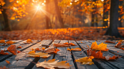 Autumn Table Orange Leaves And Wooden Plank