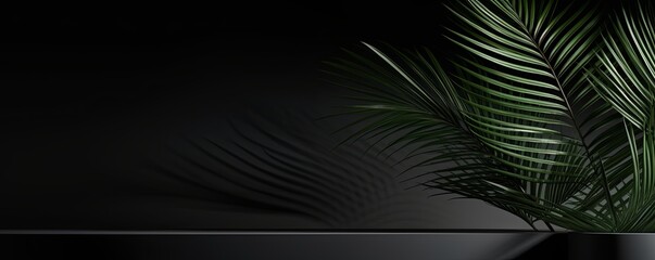 Black background with shadows of palm leaves on a black wall, an empty table top for product presentation.