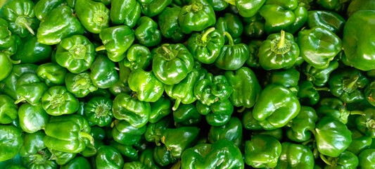 green capsicum | Shimla vegetable background HD - obrazy, fototapety, plakaty