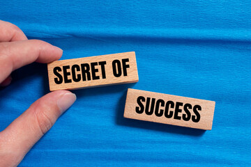 Secret of success words written on wooden blocks with blue background. Conceptual symbol. Copy space.