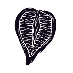 Botanical silhouette of the fig fruit.Vector graphics.