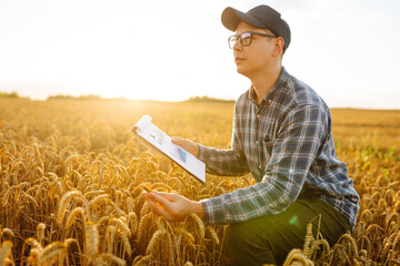 Farmer using digital tablet  while standing in his growing wheat field. Smart farm.