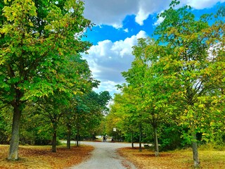 autumn in the park
