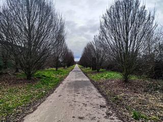 path in the park in autumn