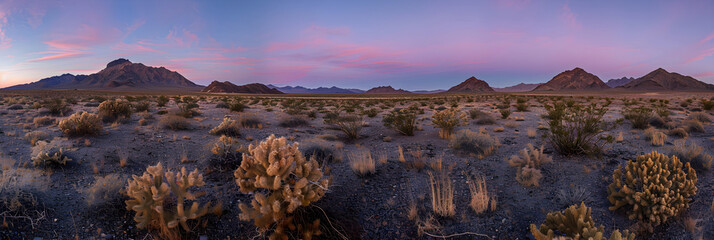 Breathtaking Panoramic Sunset over the Solitary Expanse of Nevada Desert